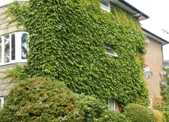 Nhà hướng tây và 7 cách mà loài người từng dùng để giữ nhà luôn mát mẻ