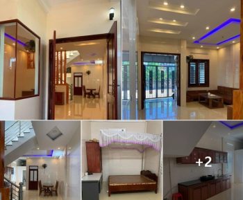 Nhà cho thuê 00835577558 Thạch Trung, Tp Hà tĩnh, Hà tĩnh