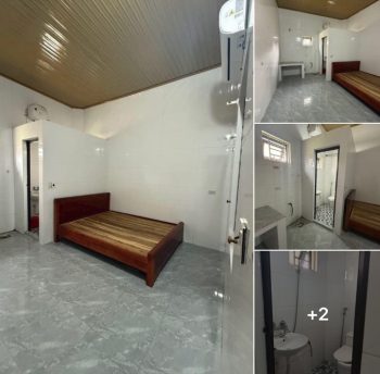 Phòng trọ 0384051377 xóm 34, nghi kim, vinh, nghệ an