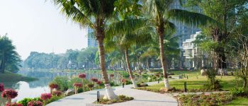 Central Island